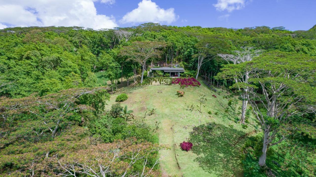 Green Cottage Chamarel Eksteriør bilde